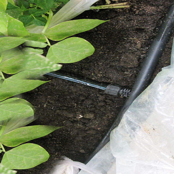 ���̰���